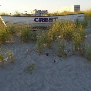 Meet your Posher, Edie